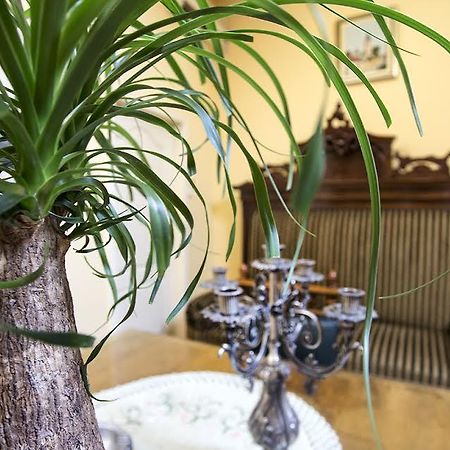 Luna Apartment Újvidék Kültér fotó